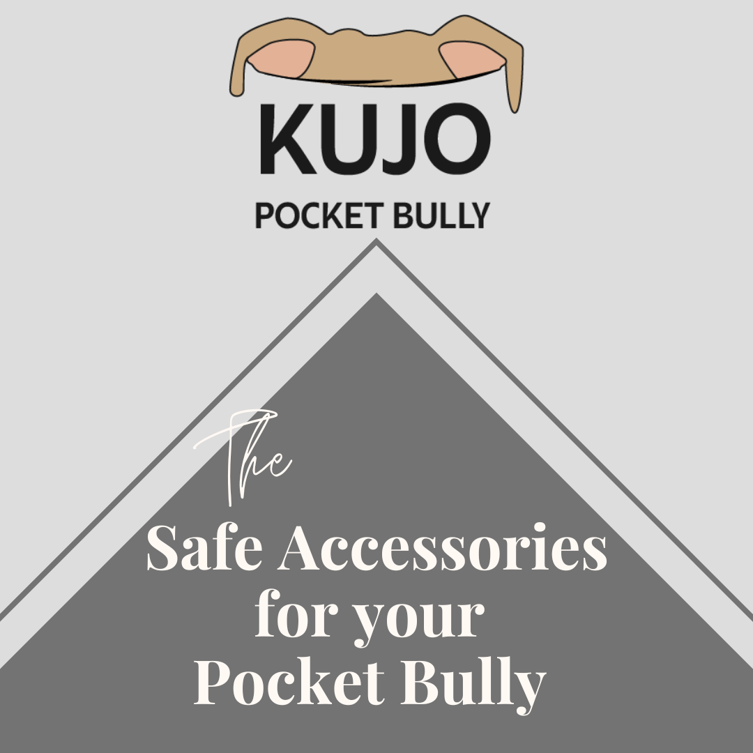 Safe Accessories for your Pocket Bully