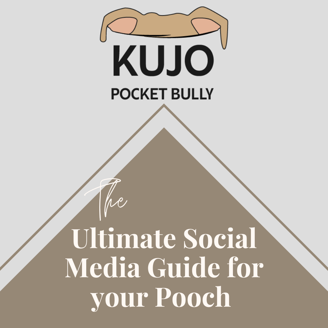 The Ultimate Social Media Guide for your Pooch