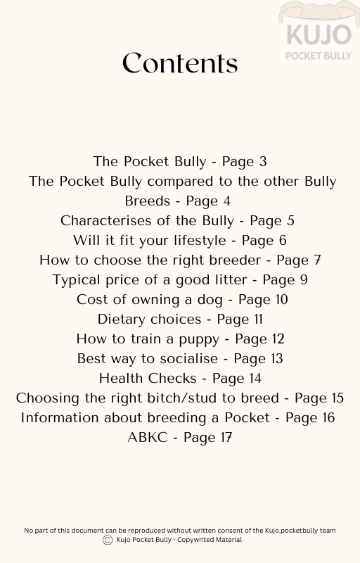 The Ultimate Guide to the Pocket Bully